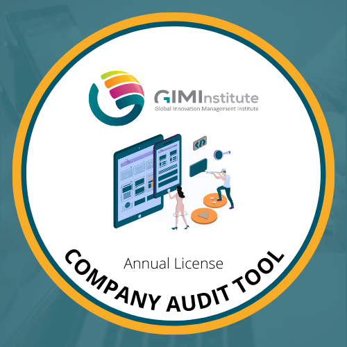 Company Audit Tool